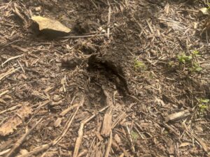 Harlan County Nebraska land auction