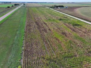 Harlan County Nebraska land auction