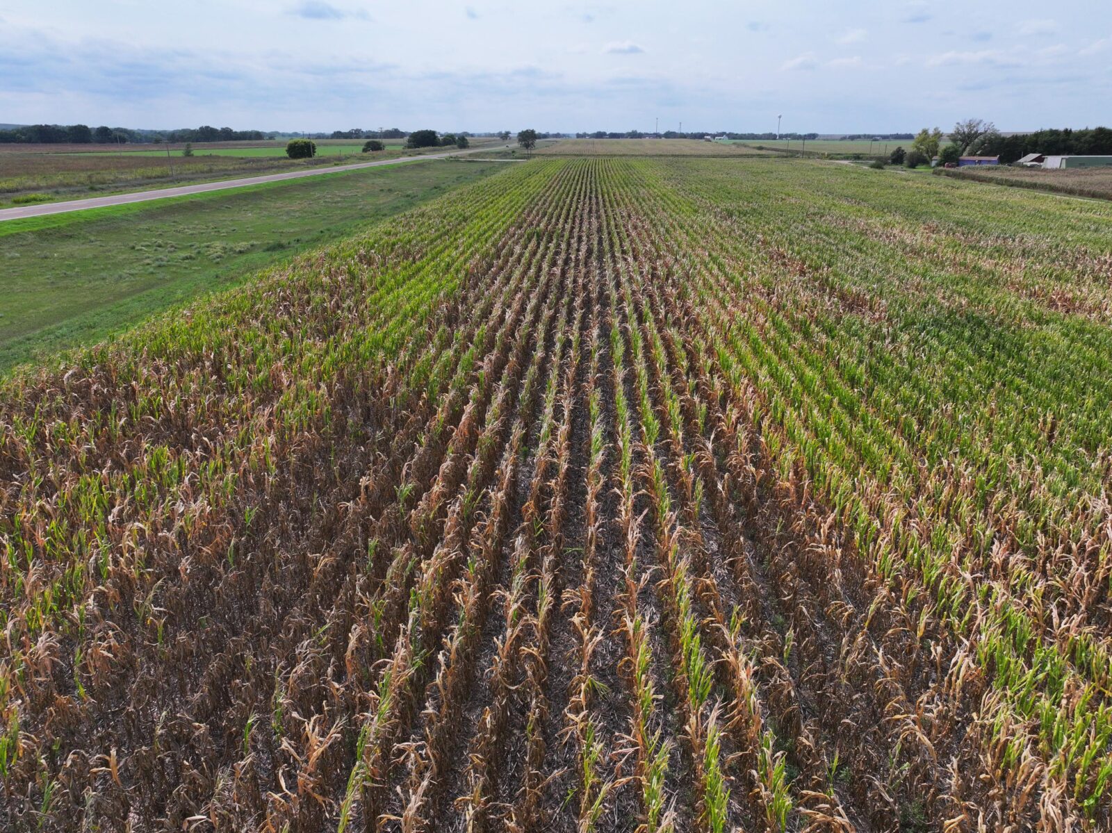 Harlan County Nebraska land auction