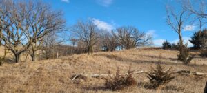 Gosper County Nebraska farm land for sale
