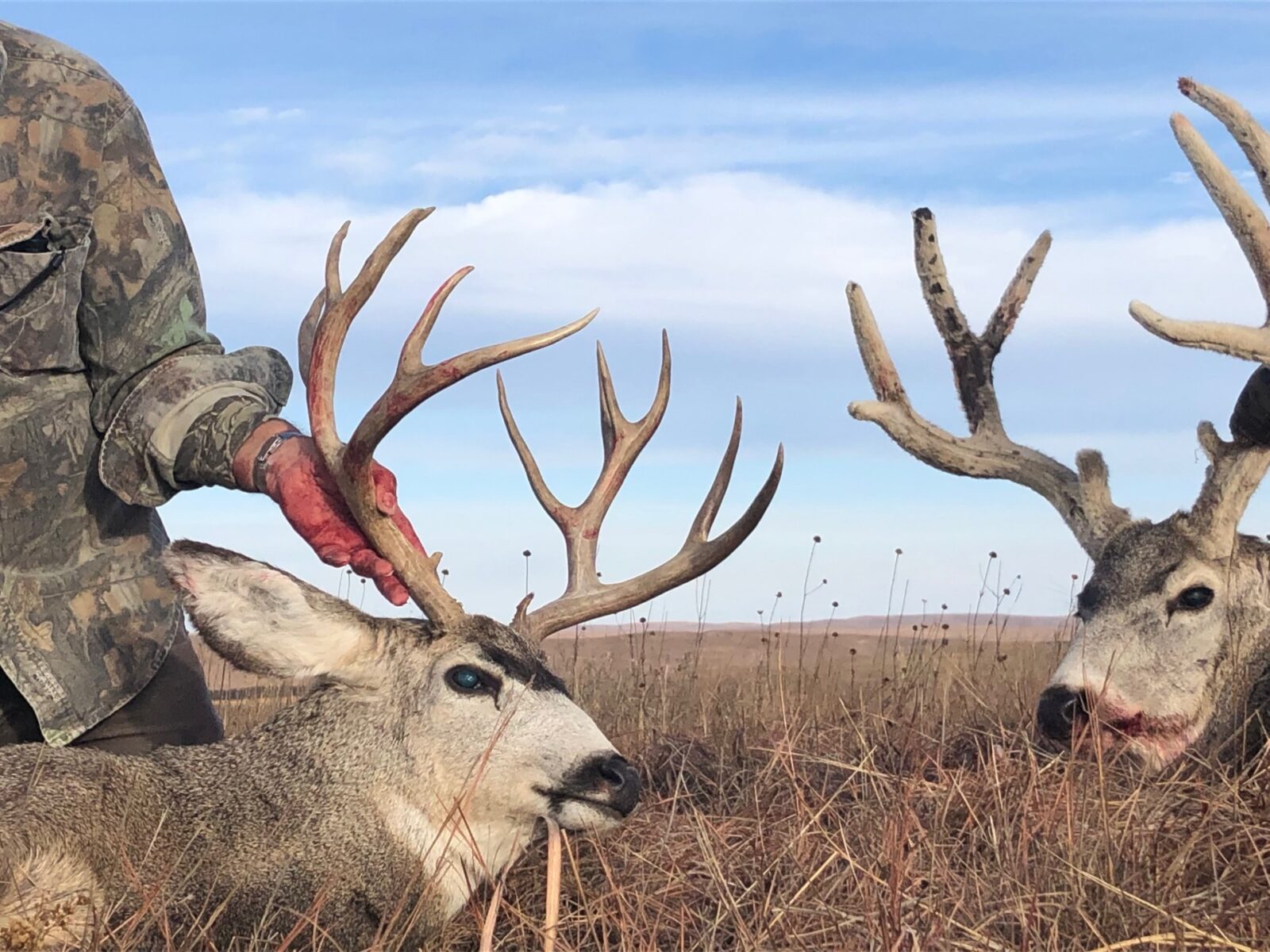 McPherson County Nebraska land for sale
