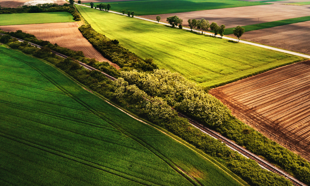 How to Register Your Farm as a Business