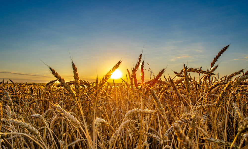 How to Find Investment Properties in Nebraska