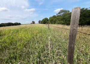 Nebraska land auction Farm for sale Harlan County