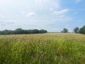 Nebraska land auction Farm for sale Harlan County
