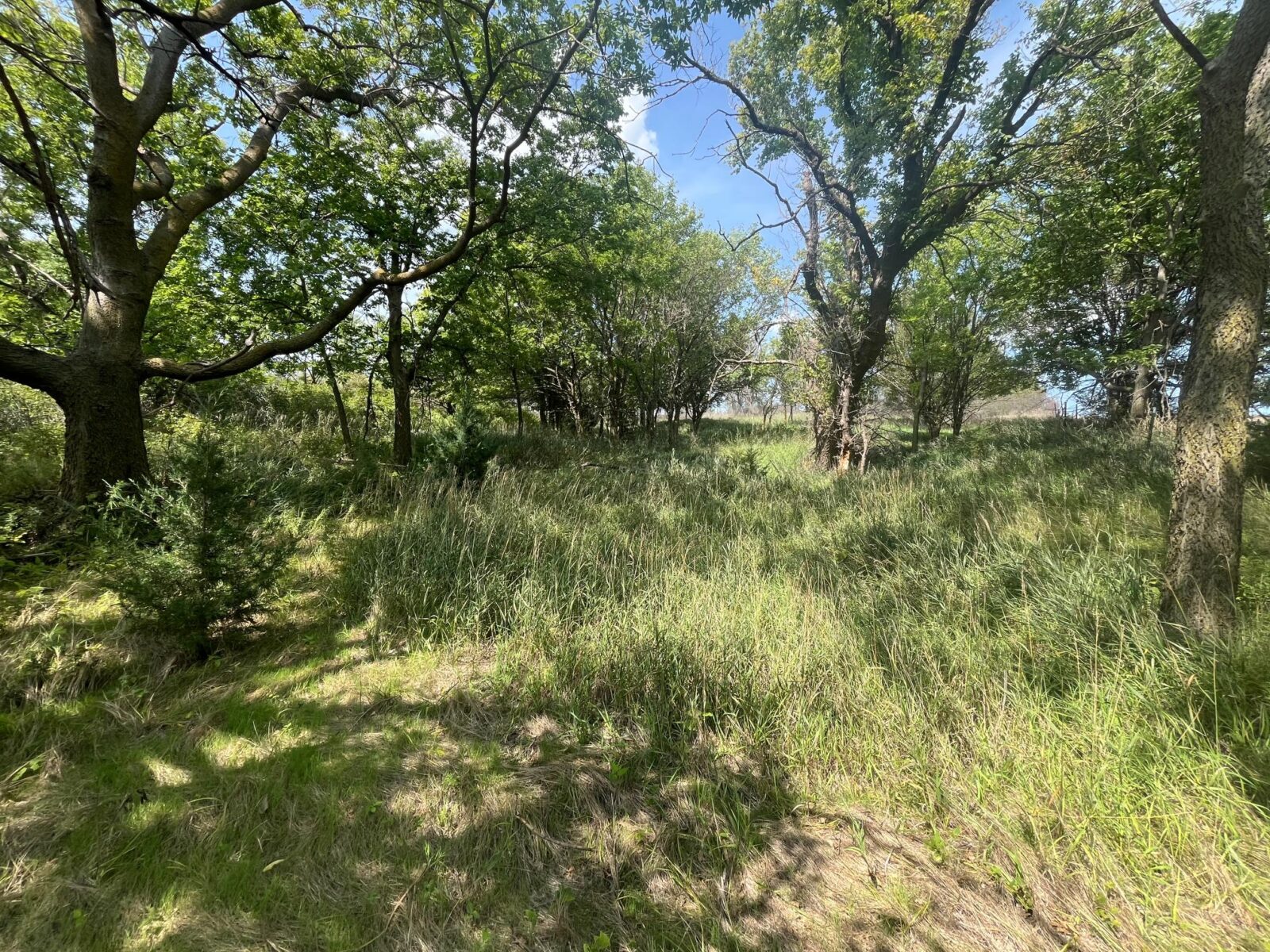 Nebraska land auction Farm for sale Harlan County
