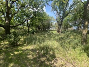 Nebraska land auction Farm for sale Harlan County