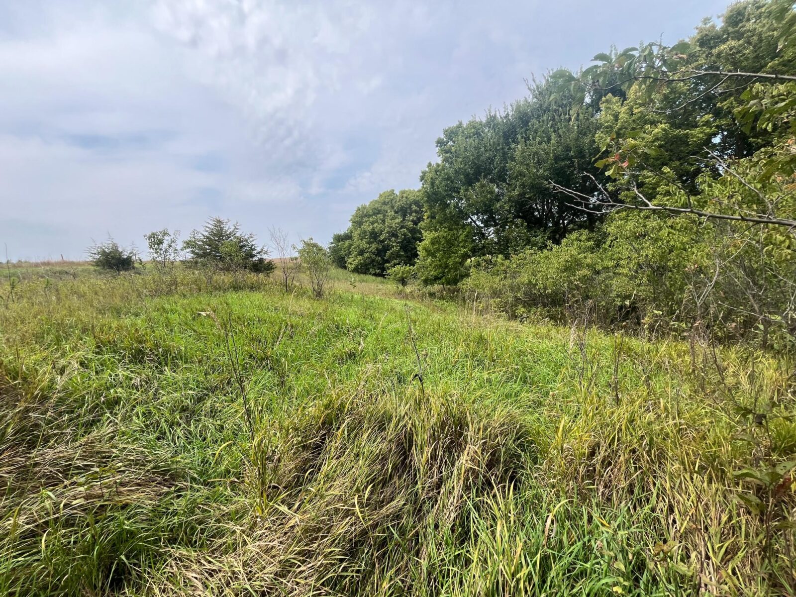 Nebraska land auction Farm for sale Harlan County