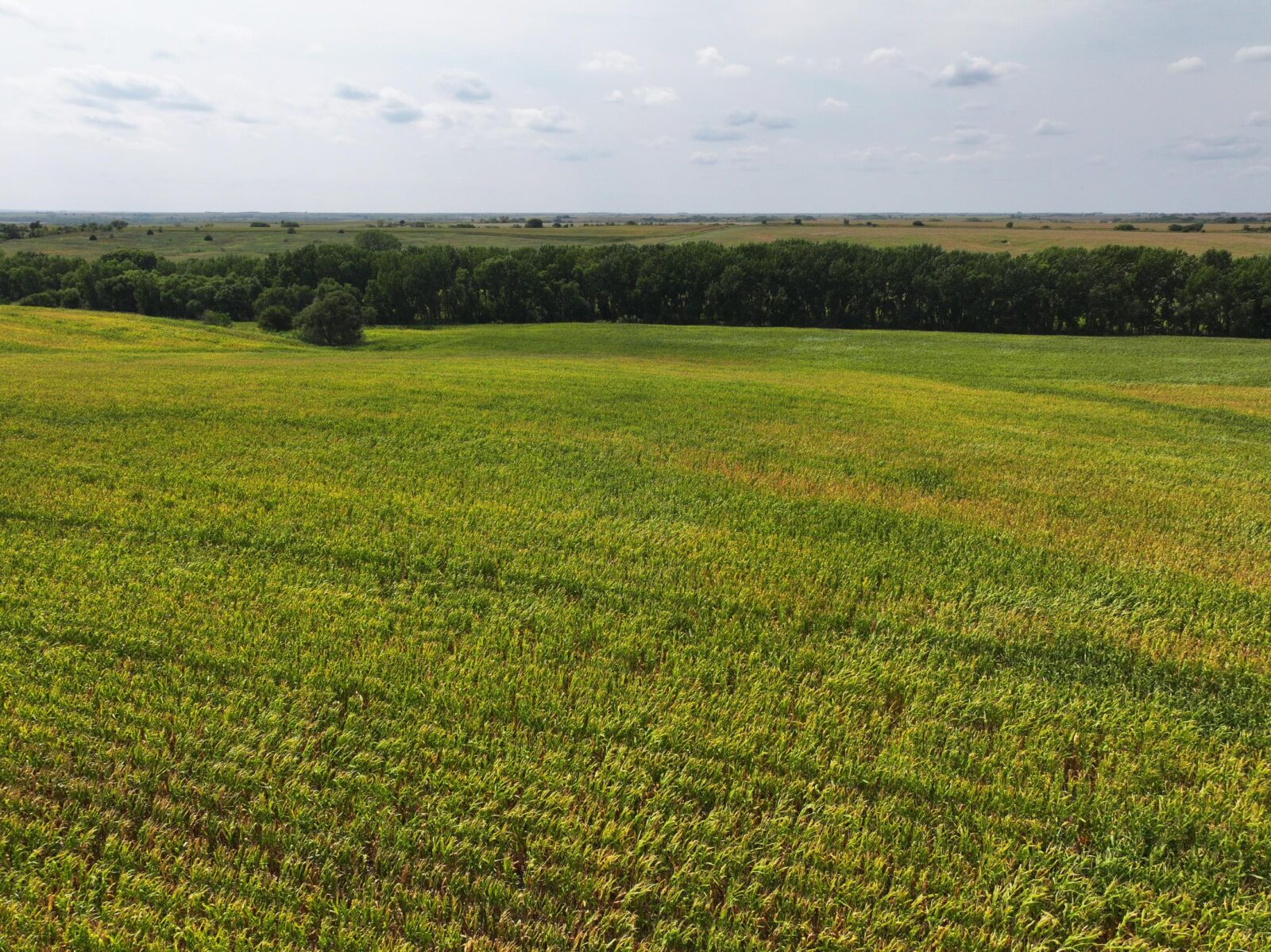 Nebraska land auction Farm for sale Harlan County