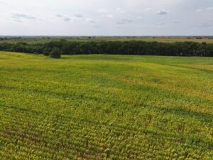 Nebraska land auction Farm for sale Harlan County