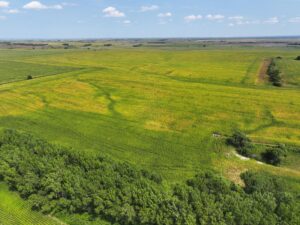Nebraska land auction Farm for sale Harlan County