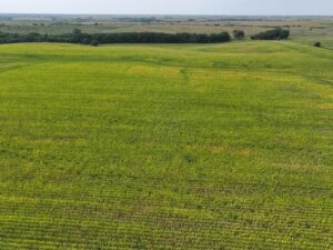 Nebraska land auction Farm for sale Harlan County