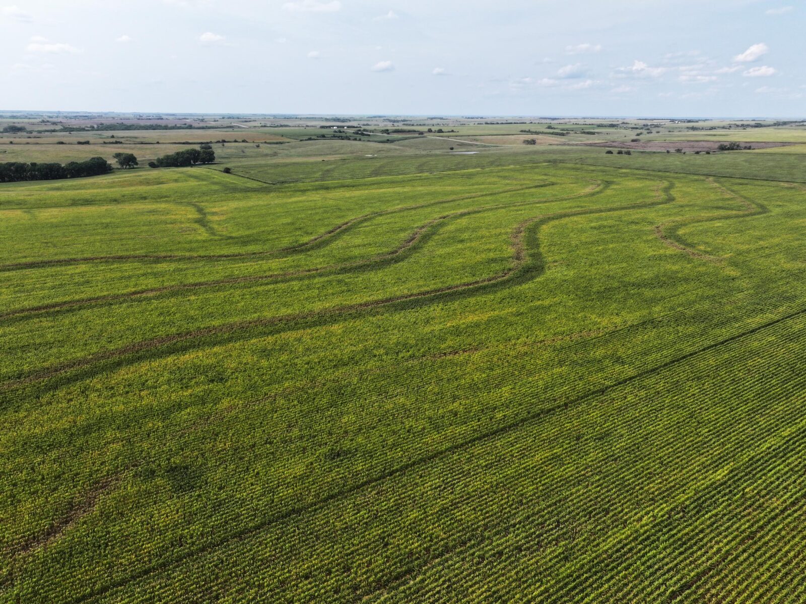 Nebraska land auction Farm for sale Harlan County