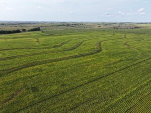 Nebraska land auction Farm for sale Harlan County
