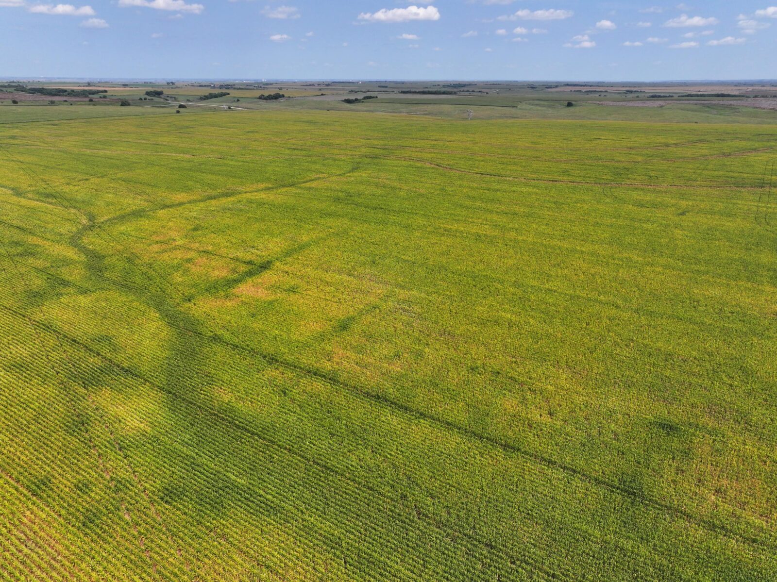 Nebraska land auction Farm for sale Harlan County