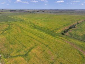 Nebraska land auction Farm for sale Harlan County