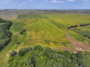 Nebraska land auction Farm for sale Harlan County