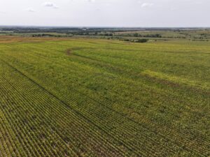 Nebraska land auction Farm for sale Harlan County