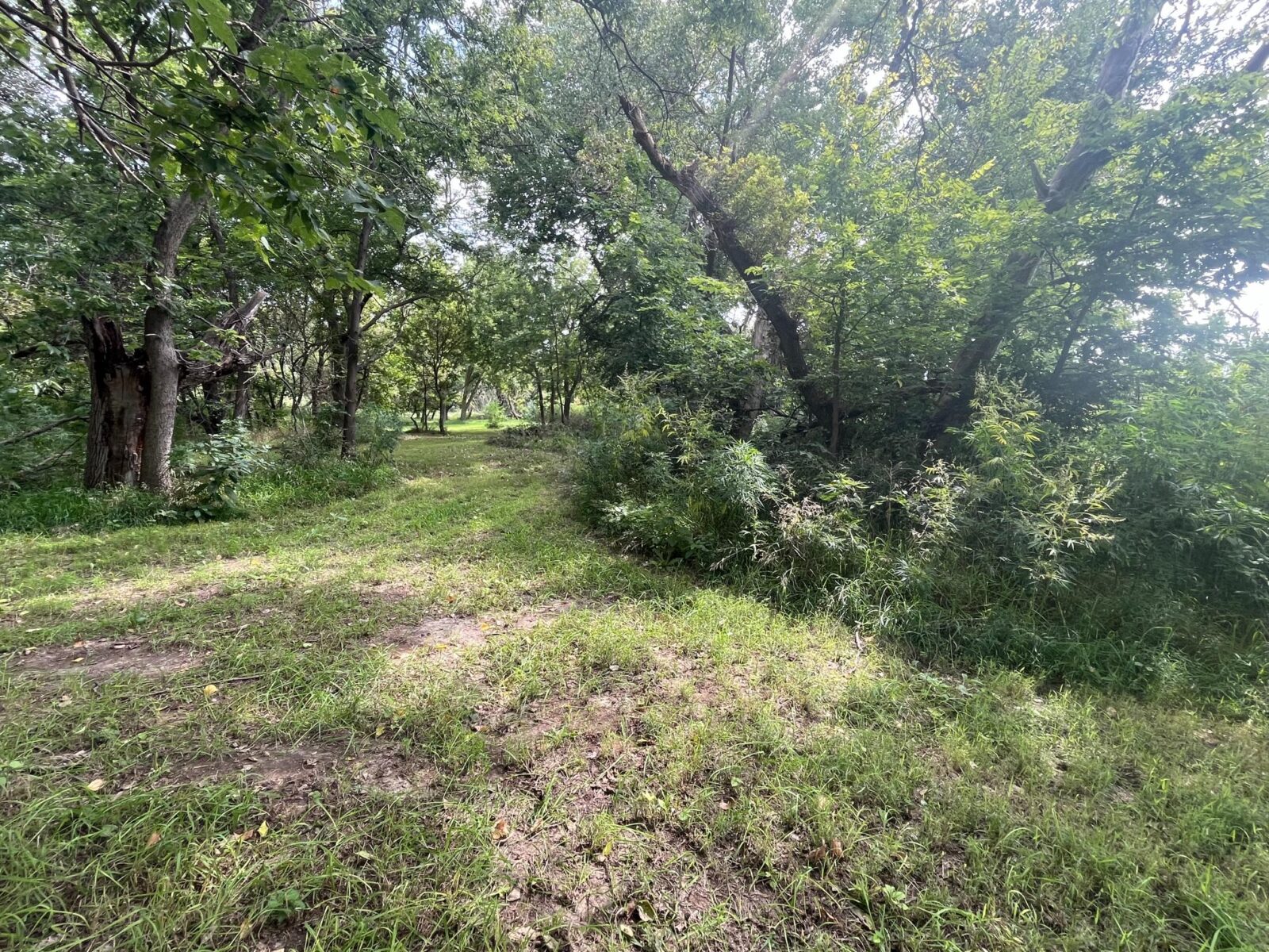 Nebraska land auction Farm for sale Harlan County