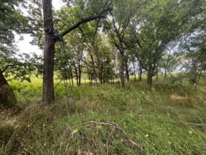 Nebraska land auction Farm for sale Harlan County