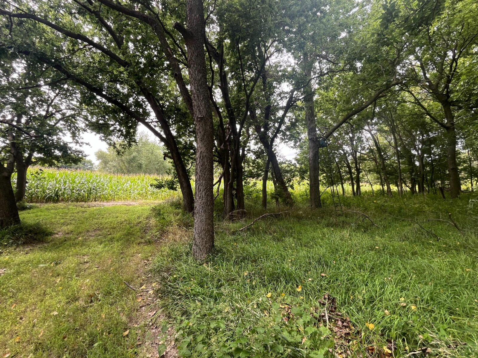 Nebraska land auction Farm for sale Harlan County