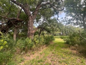 Nebraska land auction Farm for sale Harlan County
