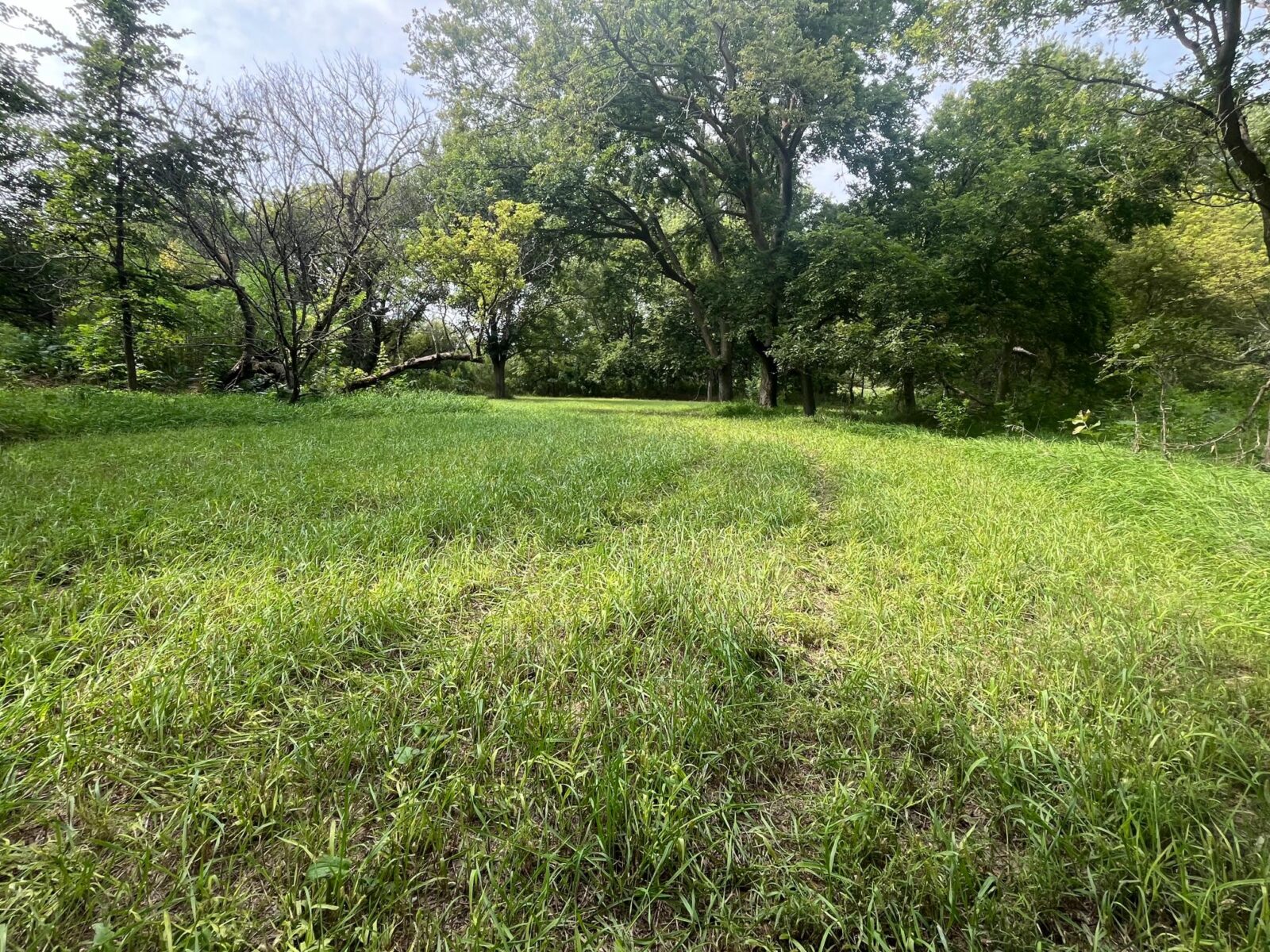 Nebraska land auction Farm for sale Harlan County