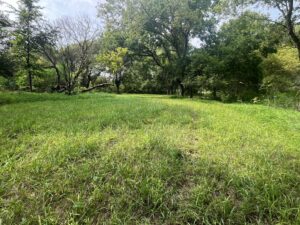 Nebraska land auction Farm for sale Harlan County