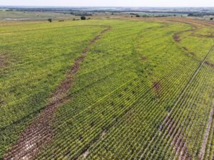 Nebraska land auction Farm for sale Harlan County