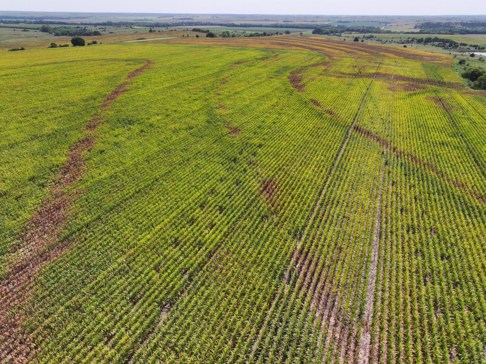 Nebraska land auction Farm for sale Harlan County