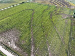 Nebraska land auction Farm for sale Harlan County