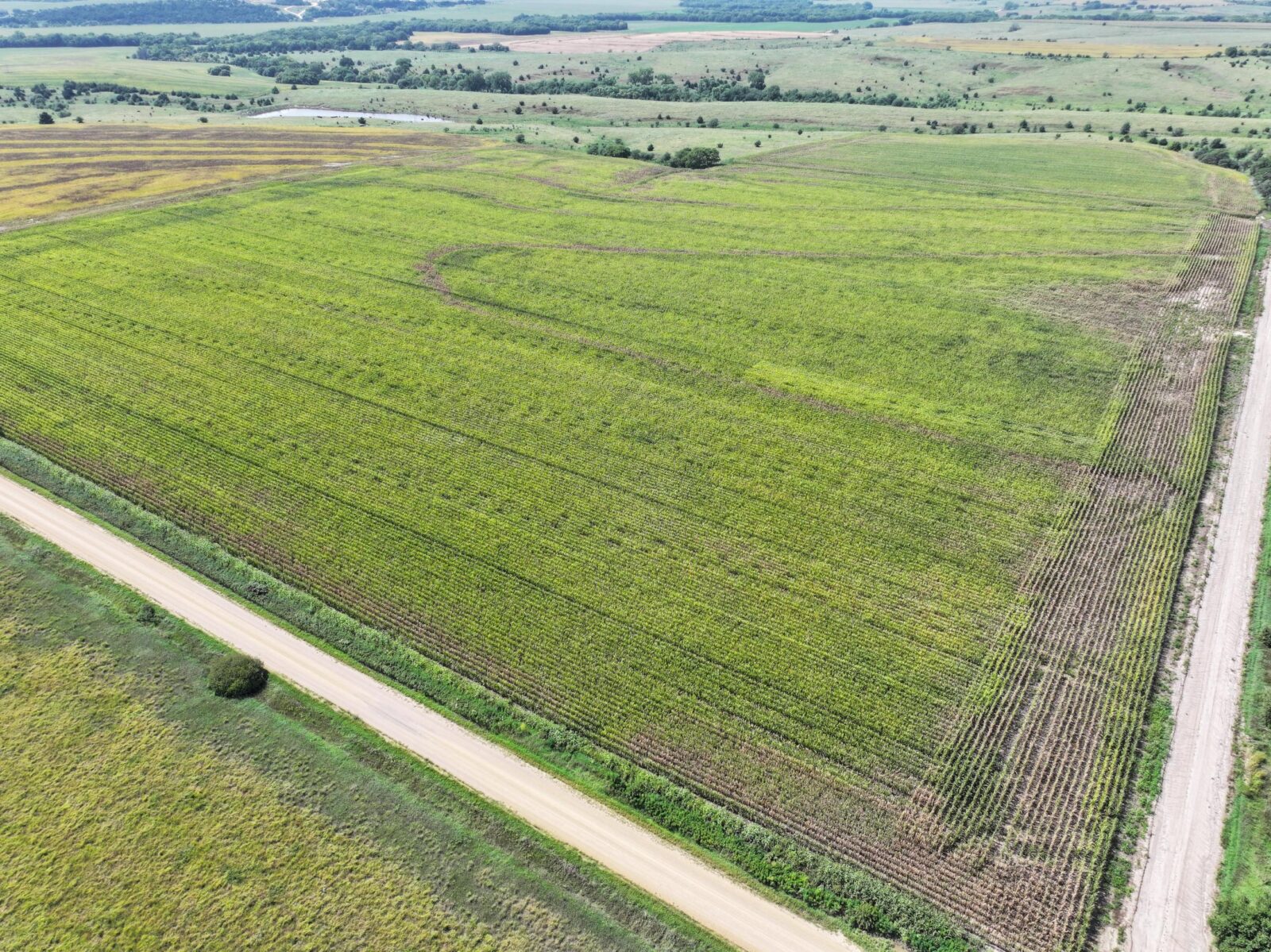 Nebraska land auction Farm for sale Harlan County