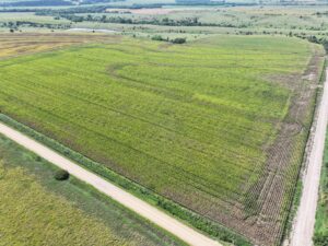 Nebraska land auction Farm for sale Harlan County