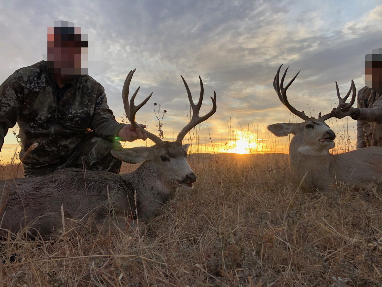 McPherson County Nebraska land for sale