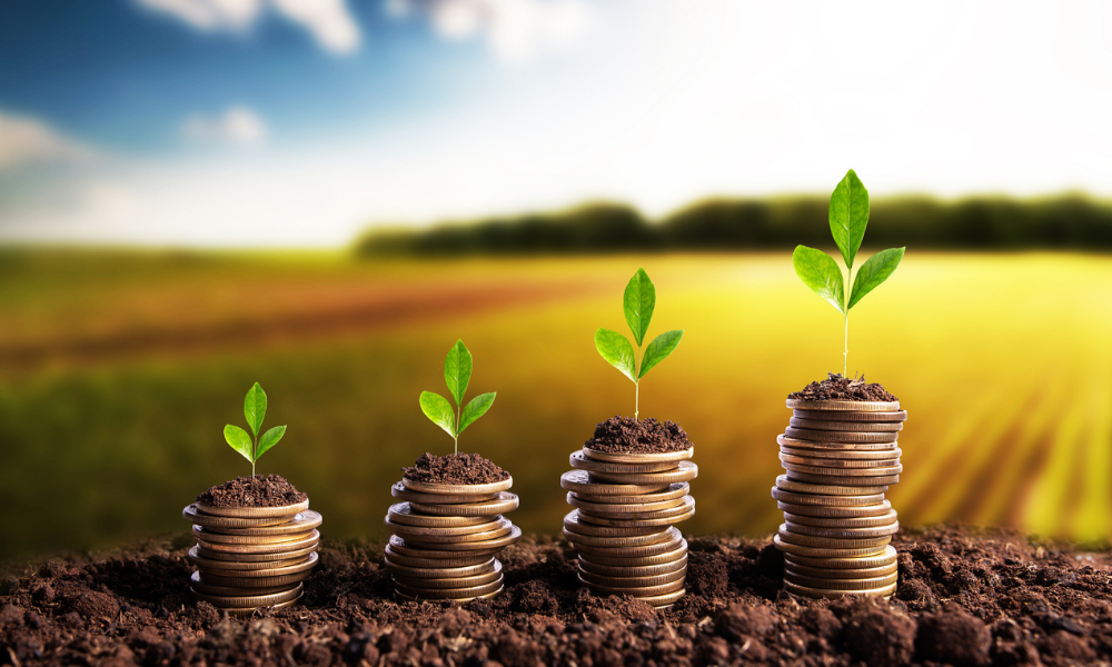 Nebraska Farmland Market Trends into 2026: What Landowners Need to Know