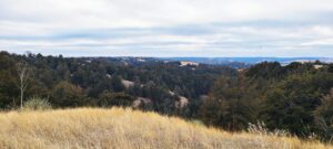 320 Acres, Lincoln County, Bignell Hill Farm and Recreation