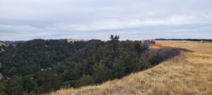 Land for sale Lincoln County, Nebraska