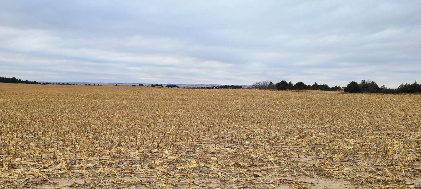 Land for sale Lincoln County, Nebraska