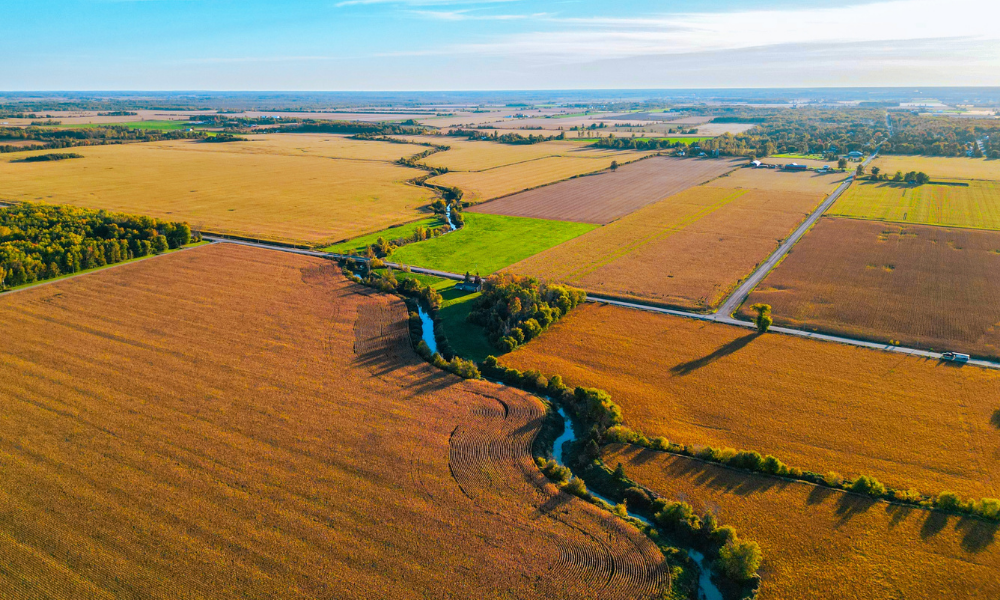 How to Invest in Farmland (And Why It's One of the Smartest Moves You Can Make)  