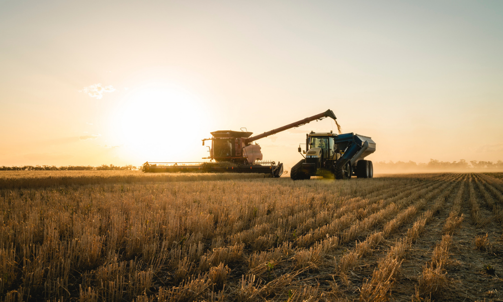 How to Invest in Farmland (And Why It's One of the Smartest Moves You Can Make)  