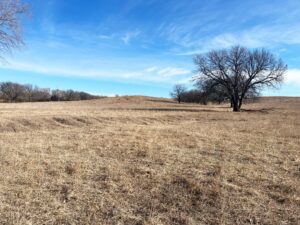 Butler County Nebraska land for sale