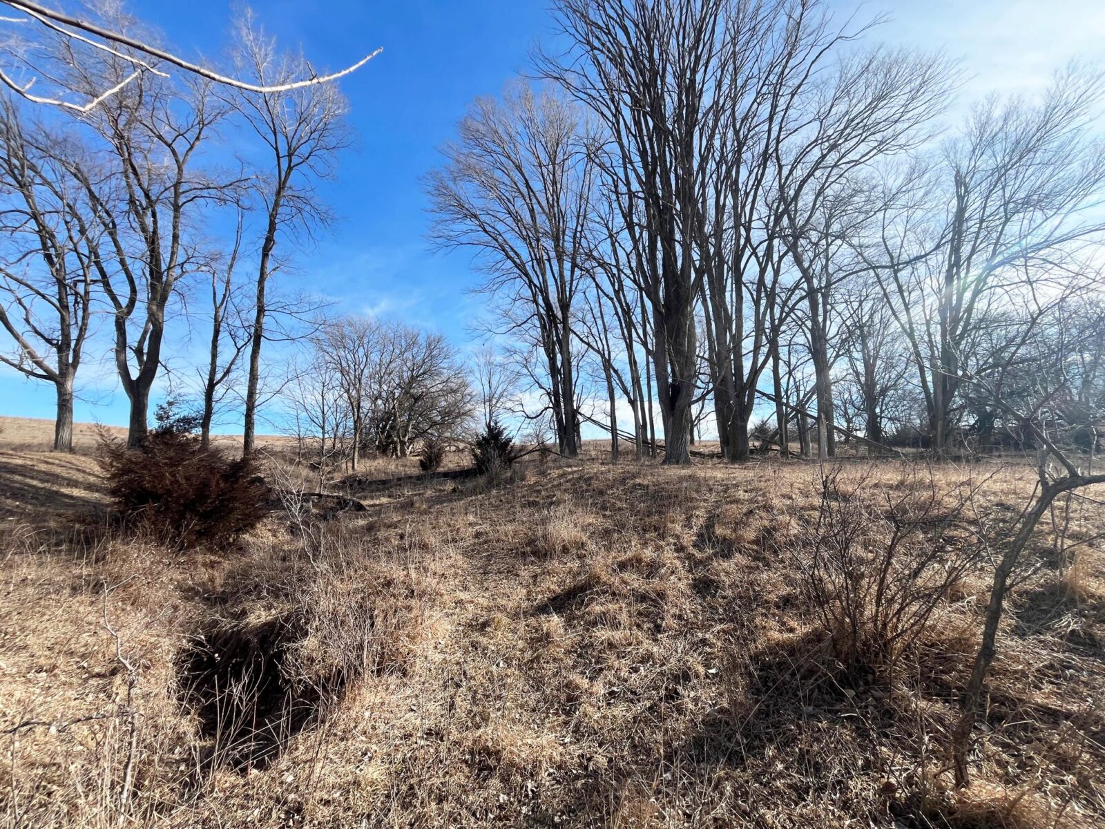 Butler County Nebraska land for sale