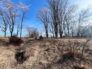 Butler County Nebraska land for sale