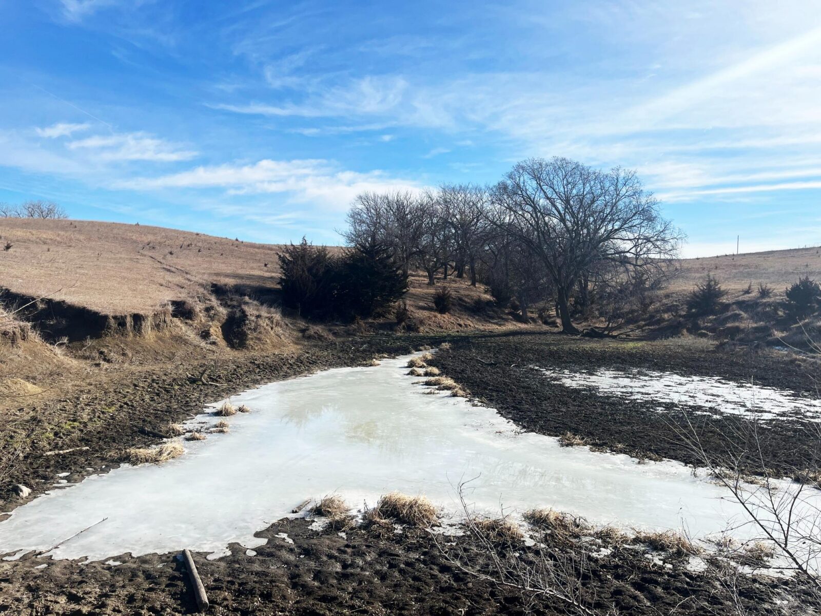 Butler County Nebraska land for sale