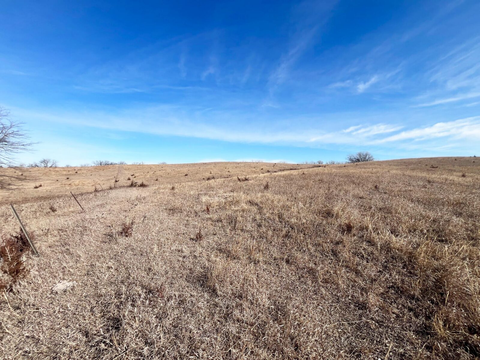 Butler County Nebraska land for sale