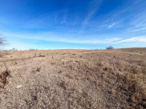 Butler County Nebraska land for sale