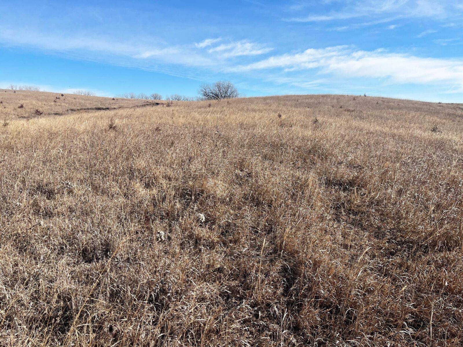 Butler County Nebraska land for sale