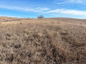 Butler County Nebraska land for sale