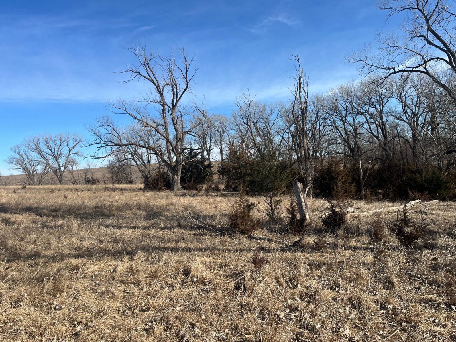 Butler County Nebraska land for sale
