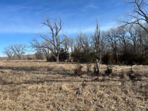 Butler County Nebraska land for sale